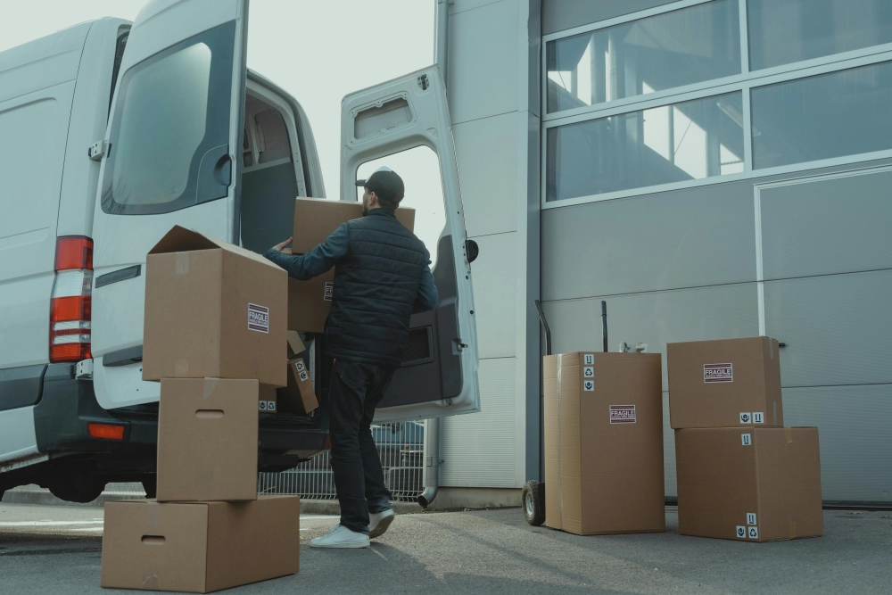Warehouse & Despatch